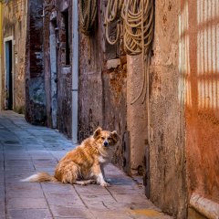 Maggie Bullock-Waiting Patiently-Commended.jpg